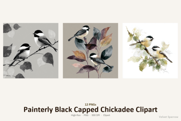 Painterly Black Capped Chickadee Clipart: Graphics for Creative Brands